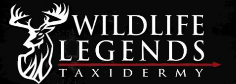 Wildlife Legends Taxidermy Michigan
